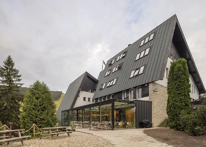 Pytloun Wellness